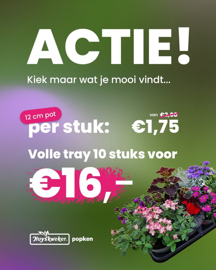 Actie!